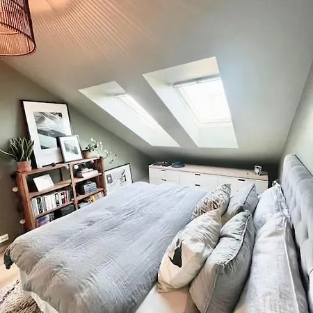 Leilighet Penthouse With Unique Rooftop Terrace Oslo