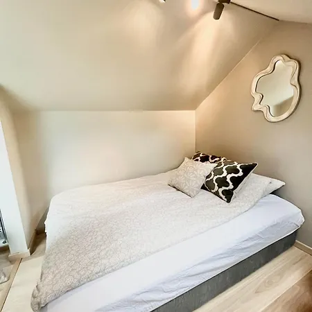 Penthouse With Unique Rooftop Terrace Leilighet *